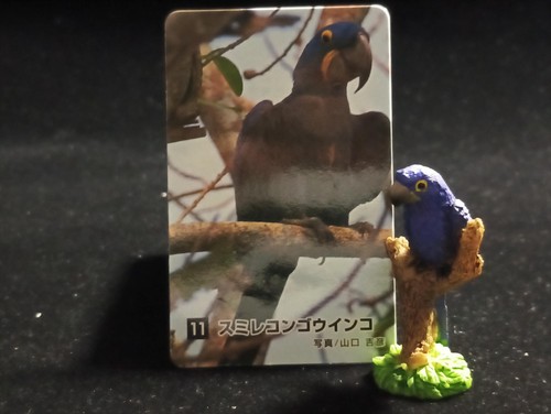 Miniatura esclusiva the - esclusiva,