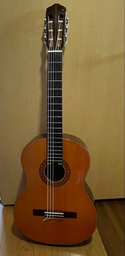 Rarissimo epiphone kalamazoo - rarissimo,