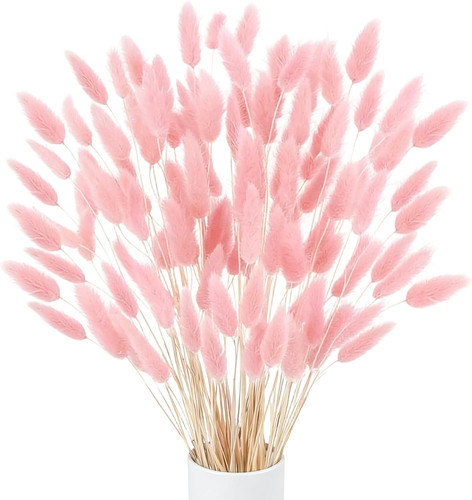 120pcs fiori secchi - secchi, decorativi