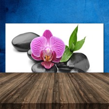 Paraschizzi Retrofornelli