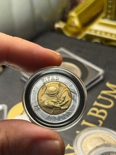 Moneta 500 lire - moneta,