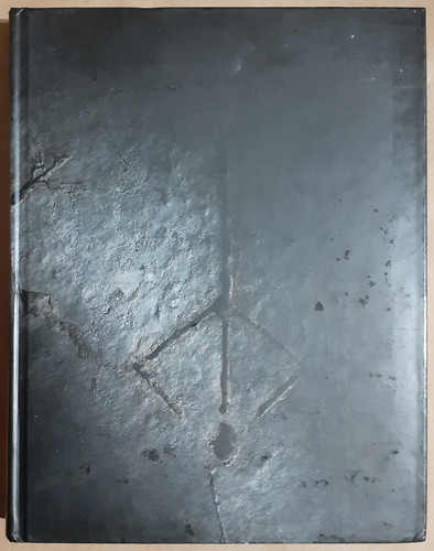 Bloodborne futurepress - bloodborne,