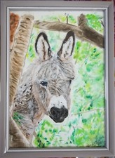 Dipinto asino  sardo quadro acrilico 21X29cm Cornice 