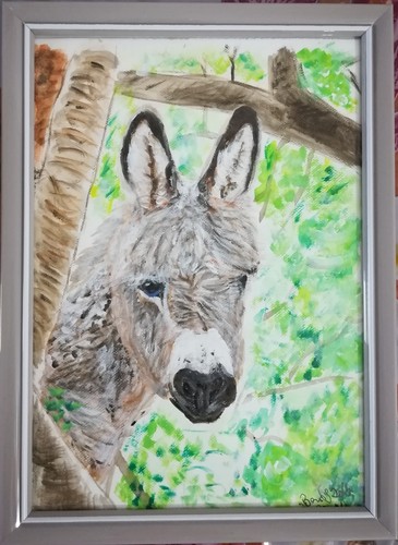 Dipinto asino sardo - asino, quadro