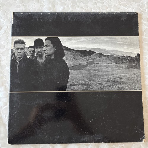 The joshua tree - tree,