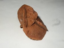 - Minerali Grezzi Cristalloterapia - ROSA DEL DESERTO (3) marocco