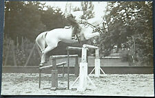 49609 AK Cavallo In Salto