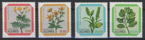 Acores 1981 flora piante - flora,