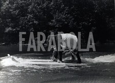 Foto vintage Stati Uniti, Elefante fa sci d'acqua, 1965, stampa 20x25 cm