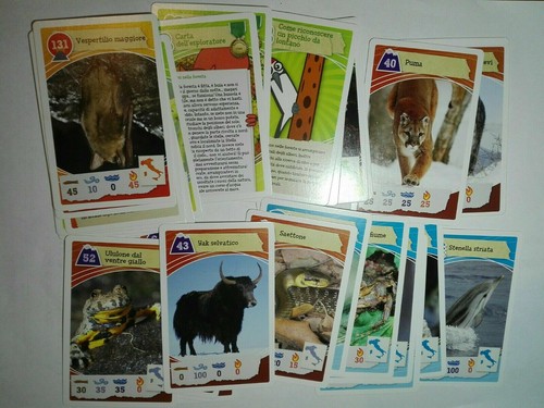 Lotto card avventure nella - card,