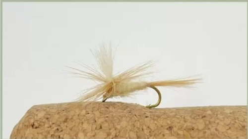 Barbless cahill paracadute - cahill,
