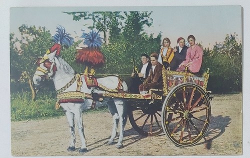 00373 110 cartolina carretto - 110,