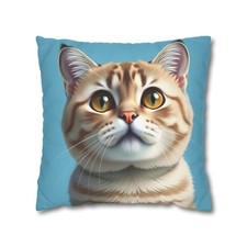    Gatto British Shorthair -
