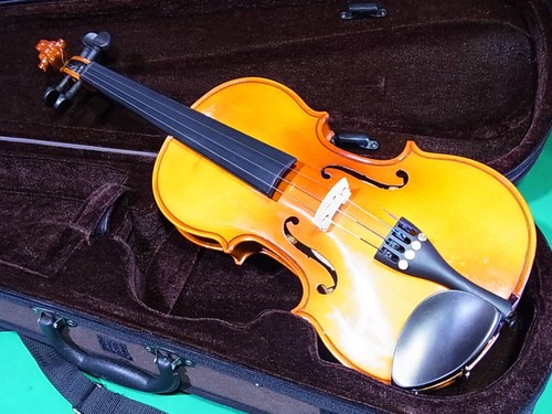 Violino stentor - stentor,