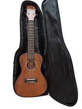 Ukulele da concerto Octopus