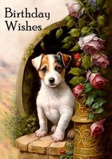 JACK RUSSELL TERRIER CUTE