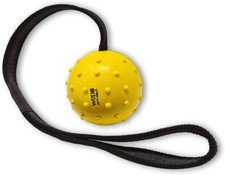 - Gioco per Cani, Pallina Con