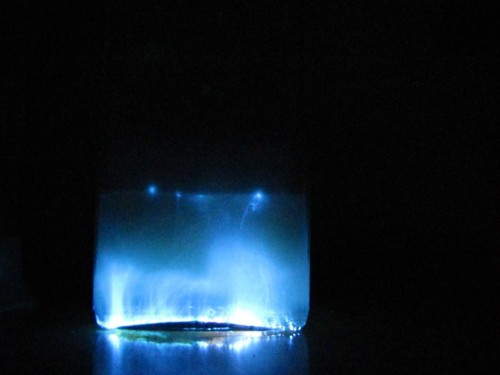 Luminol 10g ultrapuro 9 - , 9,9%