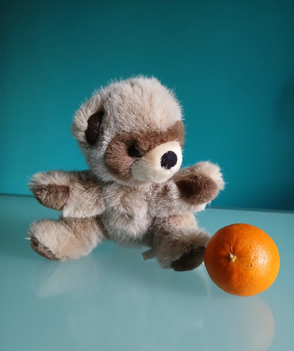 Trudi ritratti peluche - "trudi",
