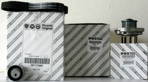 Kit distribuzione pompa acqua - kit,