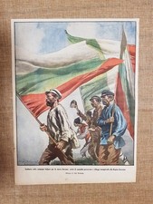 Retrocopertina Illustrazione