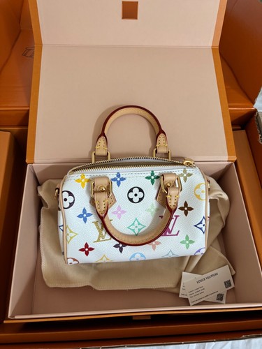 Louis vuitton takashi - louis,