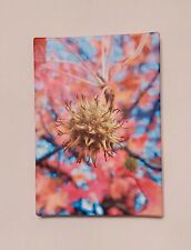 Stampa su Tela A4 con telaio