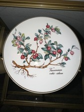 Villeroy & Boch Botanica - Vaccinium Cities - Scatola porta caramelle/gioielli Idaea, 5"