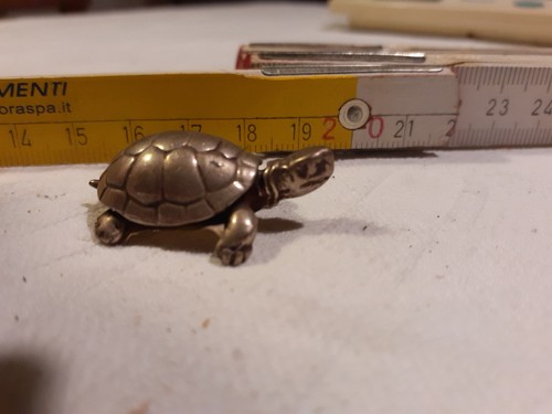 Tartaruga argento argenteria - -,