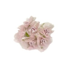 72 Fiori Artificiali