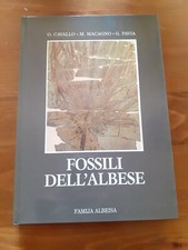 AA.VV. "FOSSILI DELL' ALBESE "