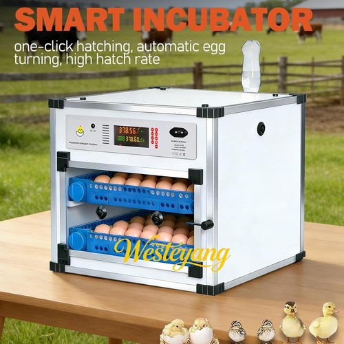 Incubatrice completamente