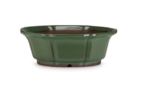 Certrè vaso per bonsai - vaso,