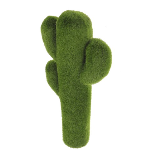 Decorazione cactus muschio - di,