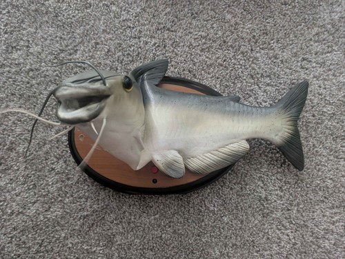 Raro pesce gatto freddo - , gemmy