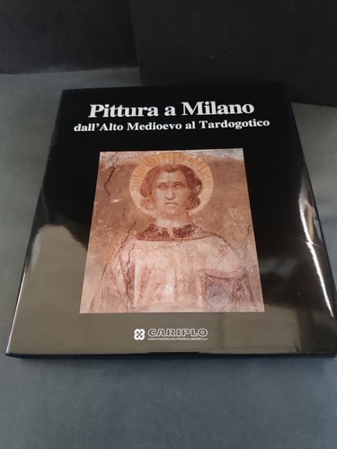 Libro pittura milano alto - pittura,