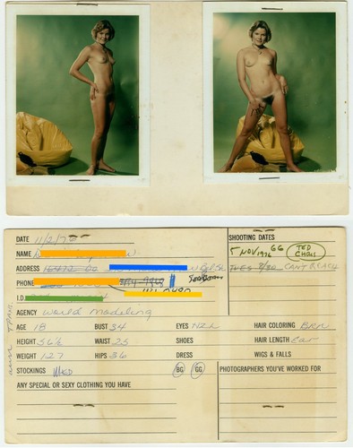 1976 polaroids modello file - modello,