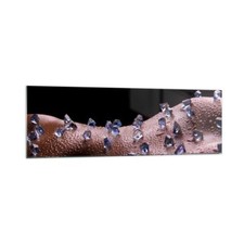 Quadro su Vetro 160x50cm Corpo