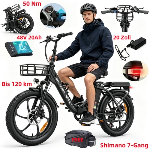 Bicicletta elettrica