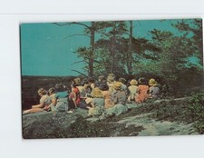 Cartolina Pine Crest Youth