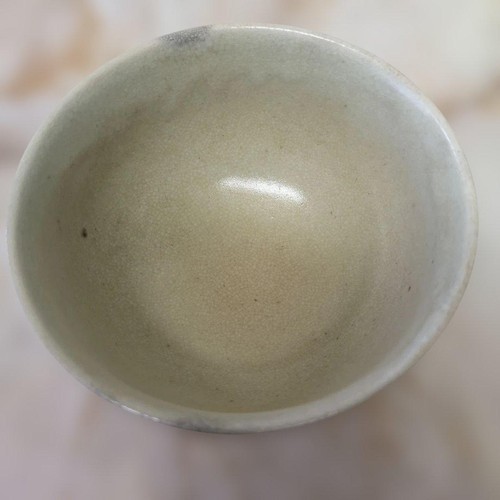 Wakamatsu kinsai ryoku teiera - wakamatsu,