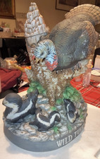 Wild Turkey tacchino selvatico