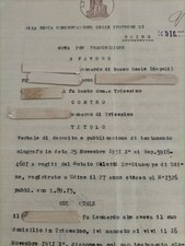 Tricesimo 1931-Udine- Testamento olografo- Beni Soldi, Nipoti E Domestica