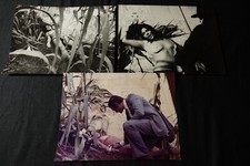 Gabriella Giorgelli   / Le