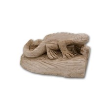 Lucertola legno pietrificato