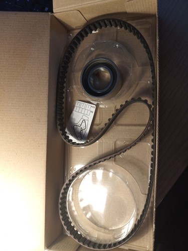 Kit cinghia distribuzione fiat - cinghia,