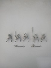 5 Mounted Squires with command group Bretonnian, Warhammer Fantasy.