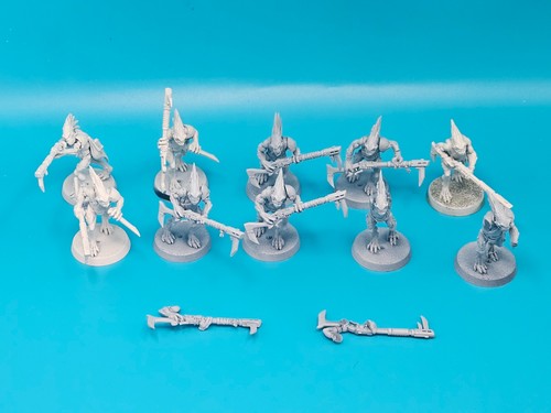 Kroot carnivore squad - kroot,