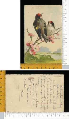 V0094 catherine klein - klein,