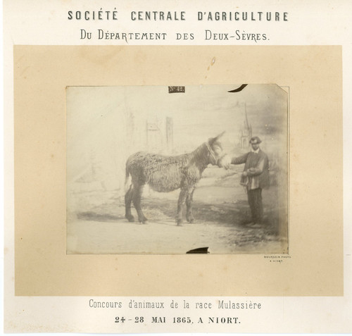 Bourgoin france niort - bourgoin., france,